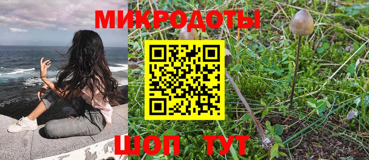 Галлюциногенные грибы MAGIC MUSHROOMS Курчатов