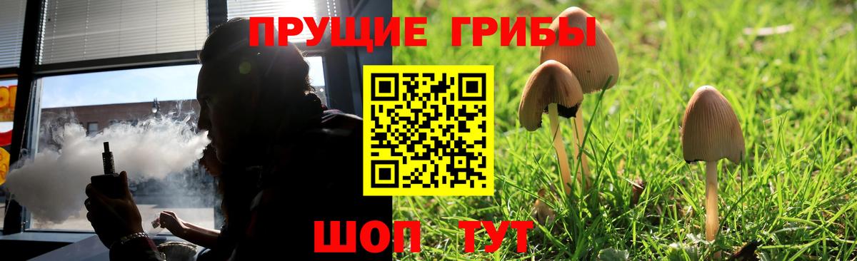 Галлюциногенные грибы мицелий  Вход с VPN  Псилоцибиновые грибы мицелий  Курчатов 